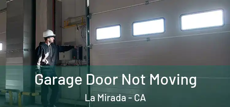 Garage Door Not Moving La Mirada - CA