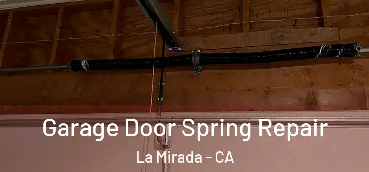  Garage Door Spring Repair La Mirada - CA