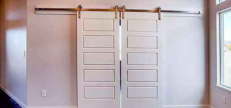 Glass Barn Door with Installation Hardware Kit La Mirada